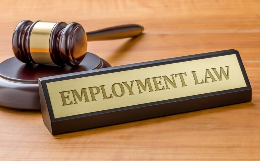 EMPLOYMENT LAW: DIFFERENT TYPES OF CASES